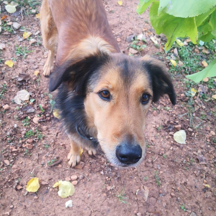 Benny