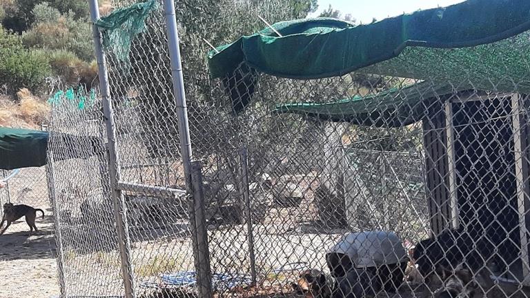 Overkapping voor opvang Chios
