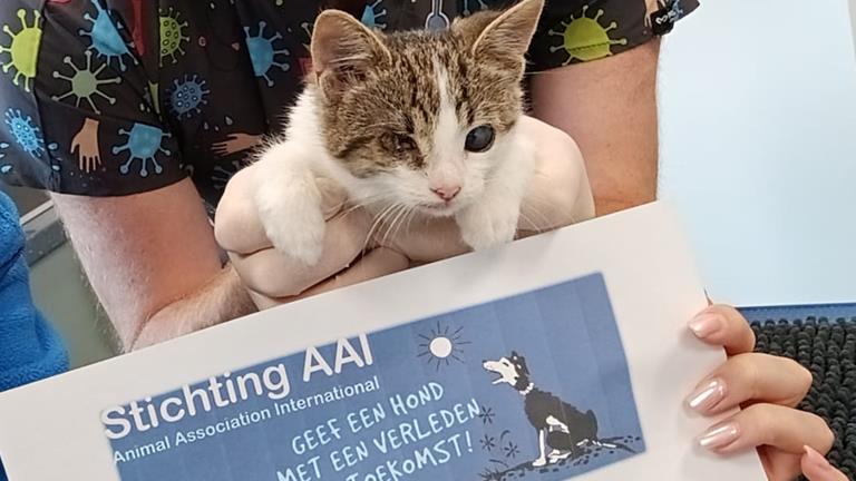 STERILISATIE PROJECT (n.a.v. hulp aan Mika)