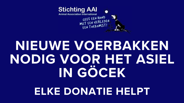 Project voerbakken voor G&ouml;cek