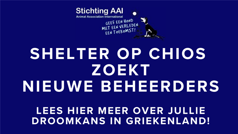 SHELTER IN CHIOS ZOEKT NIEUWE BEHEERDERS