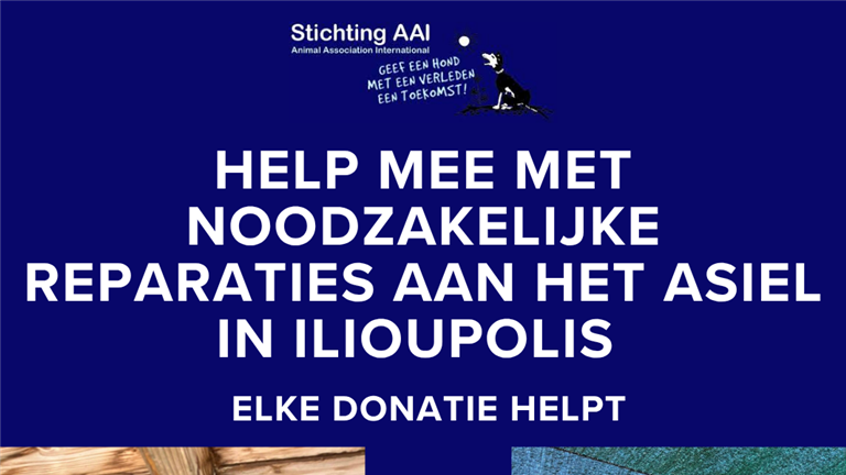 Reparaties asiel in Ilioupolis