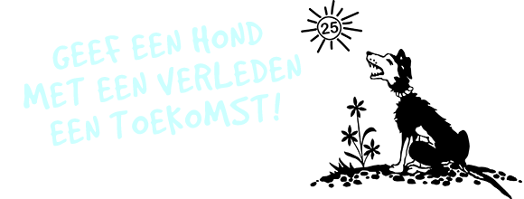 Geef een hond met een verleden een toekomst!