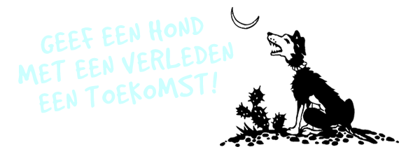 Geef een hond met een verleden een toekomst!